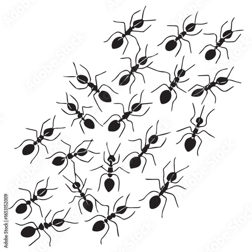 A detailed black and white illustration of a colony of ants marching in formation across a white background