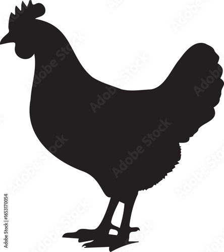 Elegant silhouette of a Chicken: A stark black and white silhouette of a chicken showcases the elegant details of poultry. Perfectly cut-out, this image is ideal for various design needs. 
