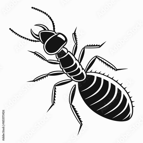 Monochrome Termite Illustration Detailed Black and White Drawing of a Wood Eating Insect with Piercing Mandibles and Segmented Body