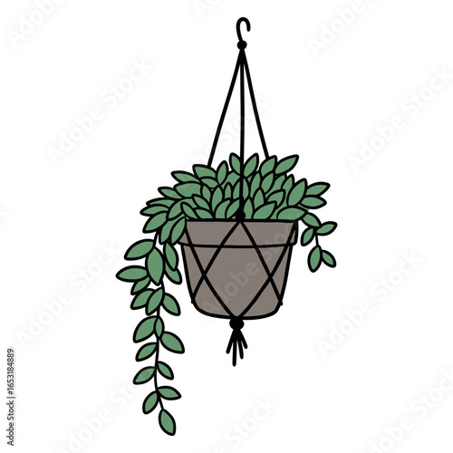 Hanging planter with vines and lush greenery in a stylish macrame hanger. Vector illustration