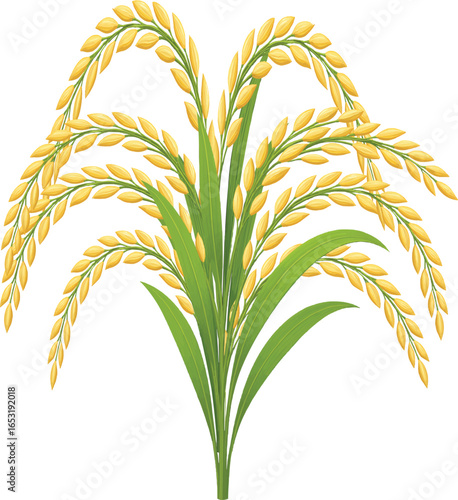 3D Rice Plant with Golden Grains and Green Leaves on transparent Background