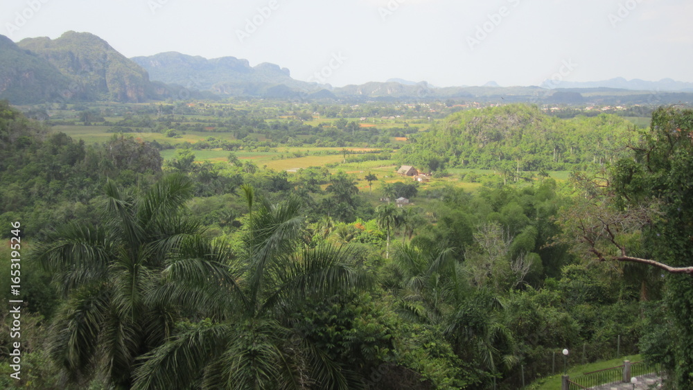 Obraz premium landscape with trees and mountains
