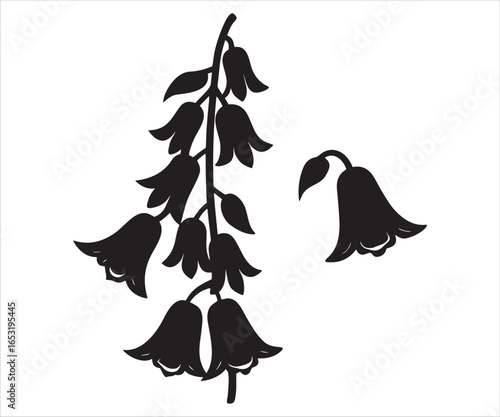 Elegant bellflower silhouette design a classic floral element for backgrounds and creative designs offering versatility and charm to any project