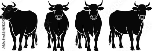 Four black cow silhouettes with horns and udders, farm livestock front view, rural agriculture concept, dairy cattle illustration, bovine animal art
