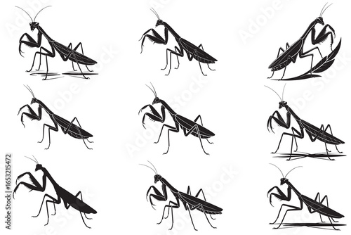 Praying Mantis Silhouette Vector Insect Illustration