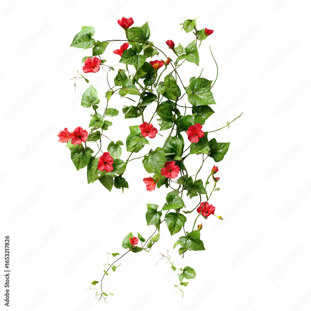 Fototapeta premium Vibrant red flowers entwined with lush green leaves create a striking natural display indoors