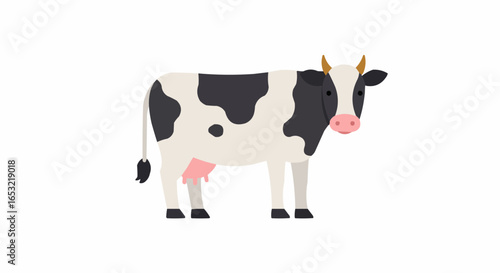 cow on white background