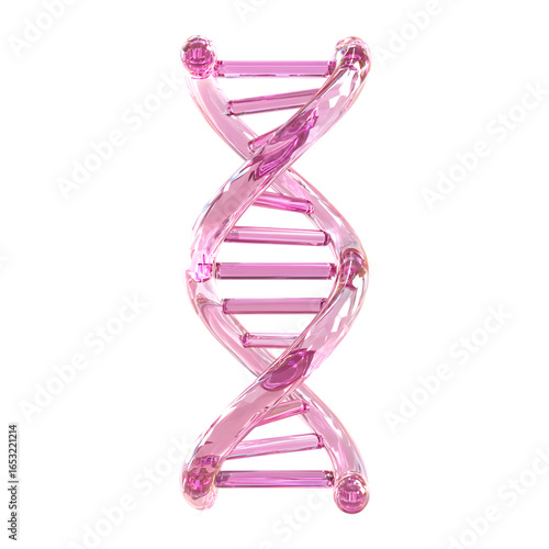 3D Pink Glass DNA Double Helix