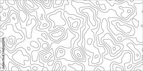 Line topography map contour background, geographic grid. Vector geography scheme and terrain and Geographic line mountain relief. abstract sea map and mounted map area space geometric line technology