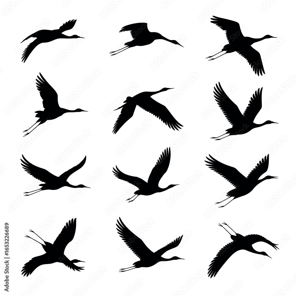 Fototapeta premium Collection of silhouettes of cranes in flight
