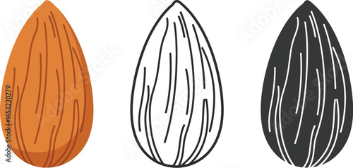 Almond nut vector illustration healthy food brown snack