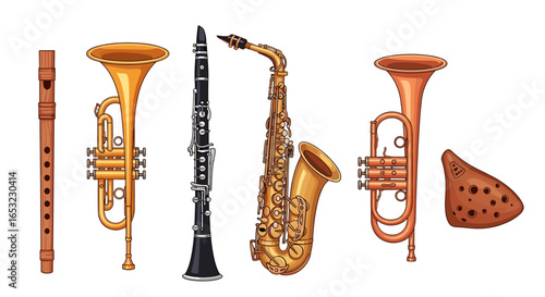 Musical Instruments Display: Variety of Horns, Woodwinds, and Recorder
