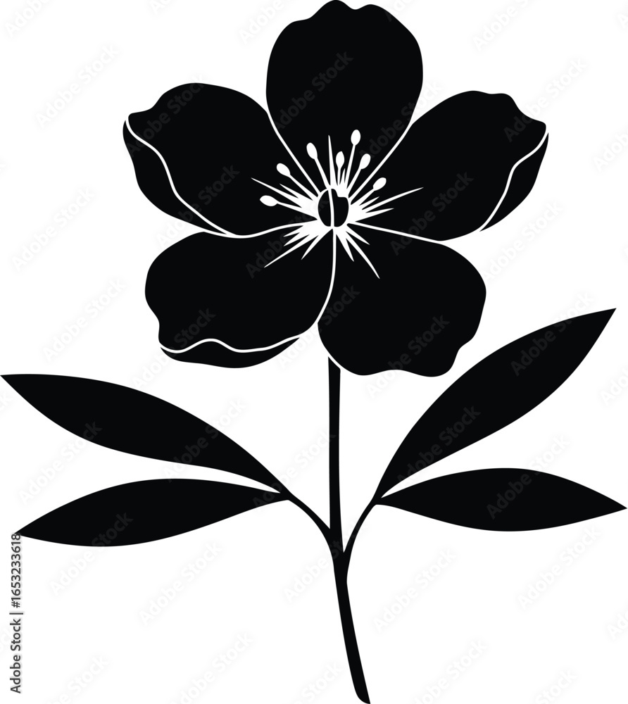 Fototapeta premium Elegant Black Flower Silhouette with Leaves on Transparent Background