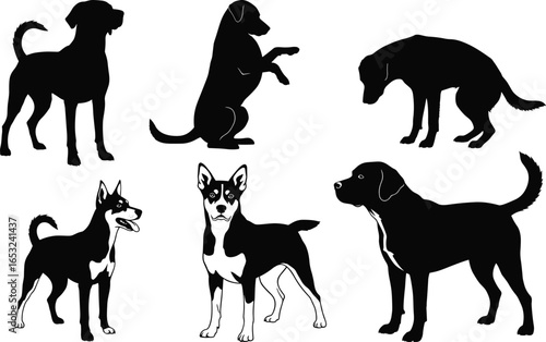 PrintBlack and white silhouette vector of six dogs in various poses, standing, sitting, begging, sniffing, showcasing diverse canine posture illustration