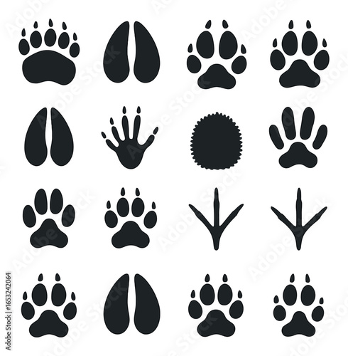 Animal tracks pattern: diverse footprints on gray background