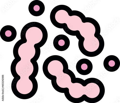 Pink streptococcus bacteria are multiplying and spreading infection through bloodstream