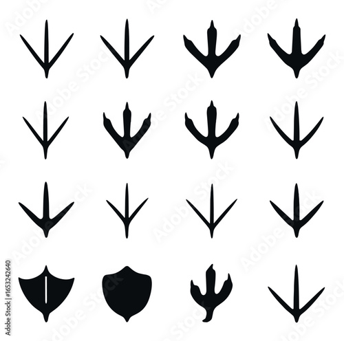 Animal footprints collection: diverse wildlife tracks