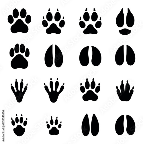 Animal paw and hoof print collection: diverse wildlife tracks illustration