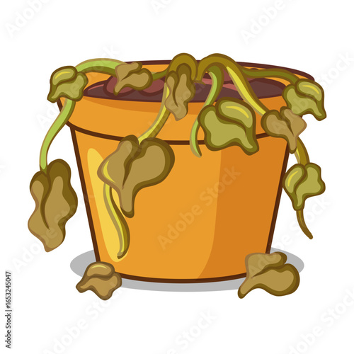 Wilted Plant in a Pot: A dehydrated plant droops sadly within its terracotta pot, its leaves withered and lifeless, a poignant symbol of neglect and the delicate balance of nature.