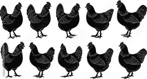 PrintSilhouette vector illustration of ten chickens in various standing poses, showcasing poultry posture, farm animal design, and agricultural concept art