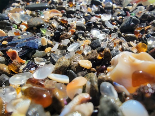 seashells and seaglass on the beach