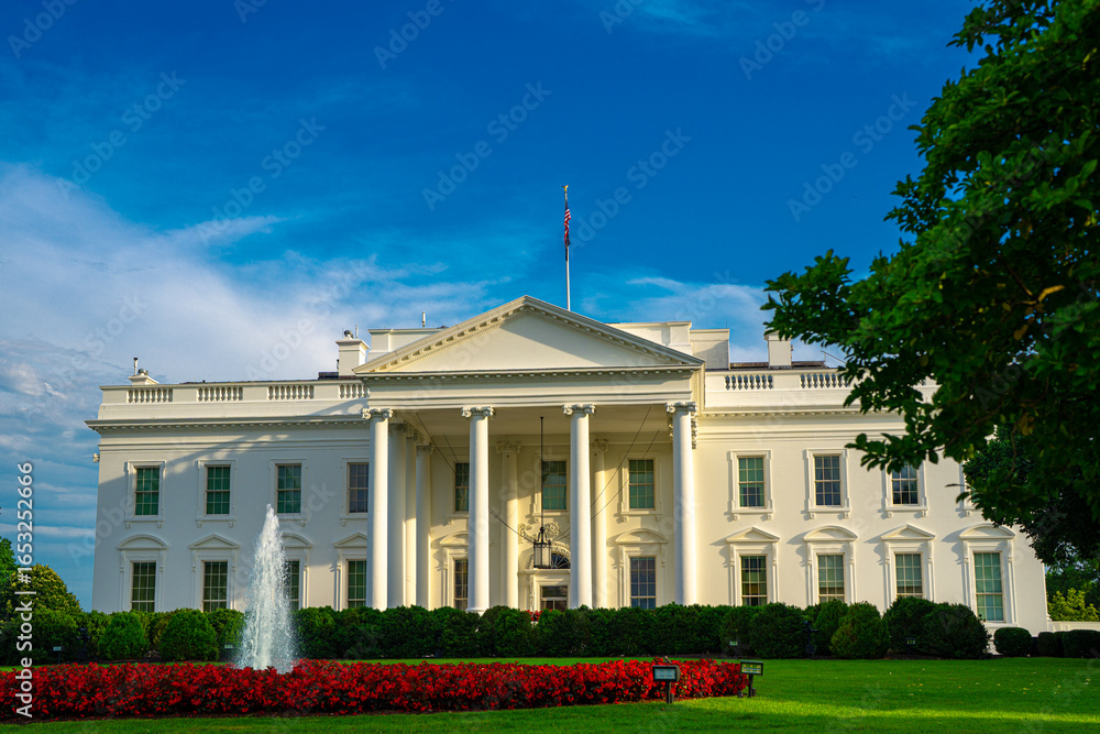 Naklejka premium White House in Washington DC. American presidents residence. Iconic White House building. Federal government. The White House and American flag. Historic White House architecture.