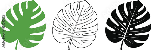 Monstera leaf vector illustration tropical plant design art