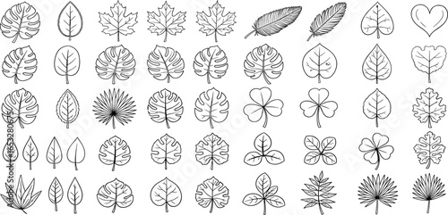 A diverse collection of hand-drawn botanical leaf illustrations. Various plant species in a black and white line art set.