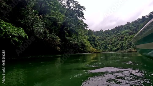 Relaxing background moving over a calm tropical river  alongside a canoe, water and tropical forest are the backbones of our lives - travelling background