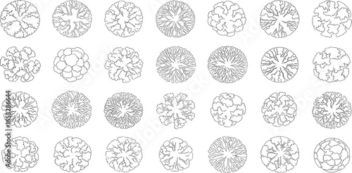 A diverse collection of tree top view symbols in black and white line art, ideal for architectural plans and landscape design projects.