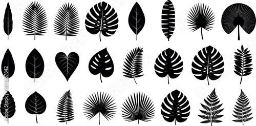 Diverse collection of tropical plant leaf silhouettes. Set of black vector icons including monstera, palm, and fern for botanical design.