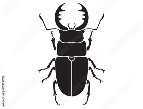Fotografia STAG BEETLE SILHOUETTE
