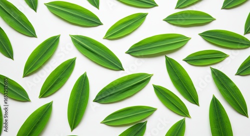  Wild garlic leaves scattered evenly on white background 