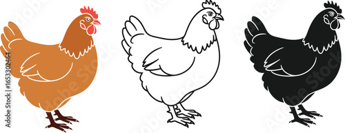 Chicken illustration set brown black and white vector art