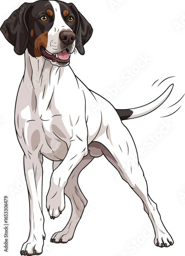 Ariege Pointer dog happy in playful pose vector illustration