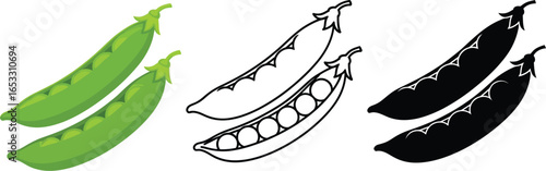 Peas vector illustration green peas healthy food fresh peas