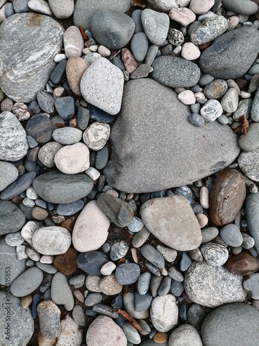 pebbles of crystalline rocks. The rock garden
