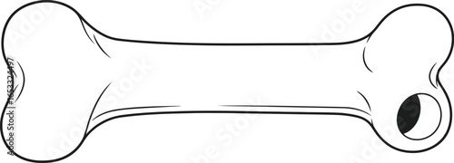 Cartoon bone illustration drawing vector graphic isolated art