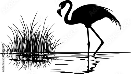 silhouette of flamingo in water with grass