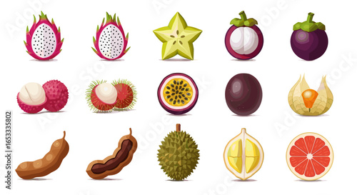 Illustration of various tropical fruits including dragon fruit and lychee