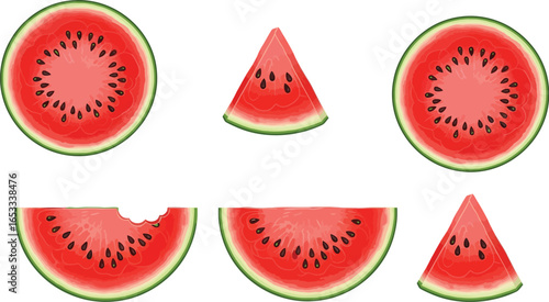 Fresh watermelon slices whole and half vector illustration