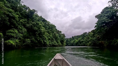 First person view from within a canoe, floating over a tropical forest river while raining - tropical rainforest or jungle background
