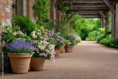 Wallpaper Mural Flower pots lining a garden walkway path Torontodigital.ca