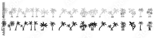 Coconut palm tree vector icon set. Palm Tree illustration sign collection. Palm symbol or logo.