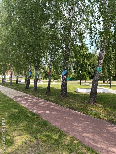 Green trees with colorful signs lining a walking path in a park  