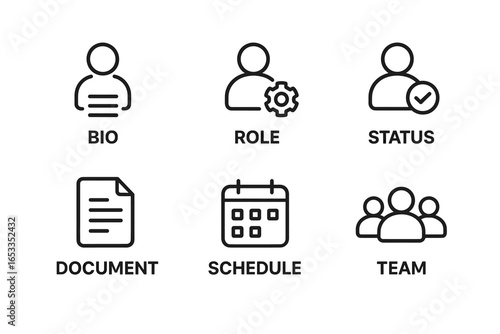 Simple line icons for bio, role, status, document, schedule, and team