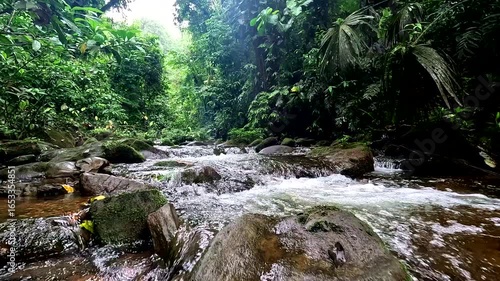 Slow motion video of a small creek where fresh water is running  over the pebbles surrounded by biodiverse tropical forest - nature rainforest background