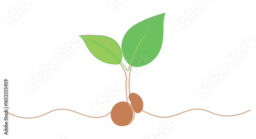 Seedling growth plant sprout new life agriculture