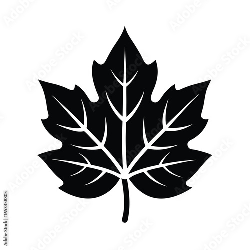 Vector art of maple leaf isolated