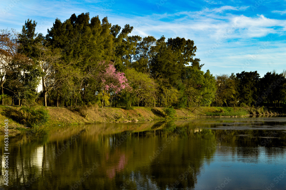 Fototapeta premium Suspiros de la Naturaleza
